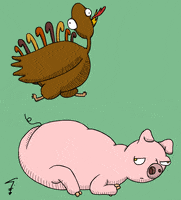 thanksgiving pig GIF by Thomas Kastrati