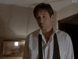 X Files Idk GIF by The X-Files