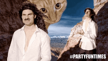 Flula Borg Fabio GIF by Party Fun Times with Taryn