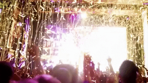 Music Festival Party GIF - Find & Share on GIPHY