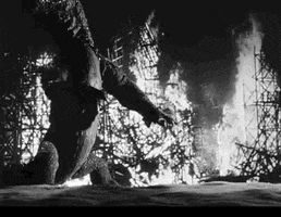 sci fi the beast from 20000 fathoms GIF by Warner Archive
