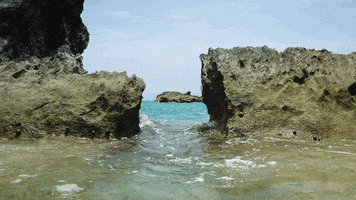 beach ocean GIF by Doctor Popular
