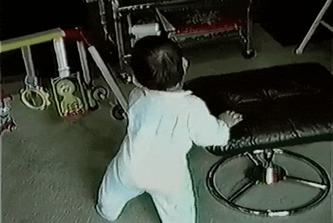 giphy.gif