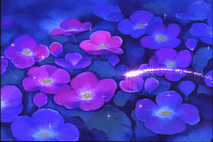 ninka  GIF