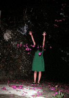 200.gif?cid=fc005b0883db19b8549d44070957d4d82e698f389ea97f00&rid=200.gif&ct=g