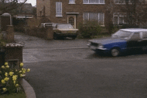 alexdfw car rose daisy bouquet GIF