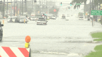 florida flood GIF