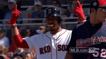Boston Red Sox GIFs on GIPHY - Be Animated