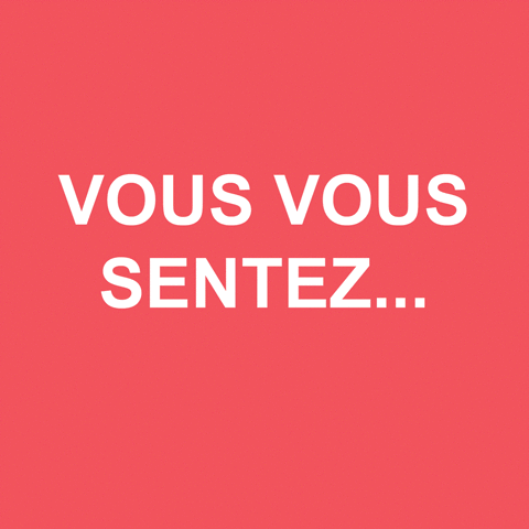 marieecoloinfocom visuels climatiques GIF