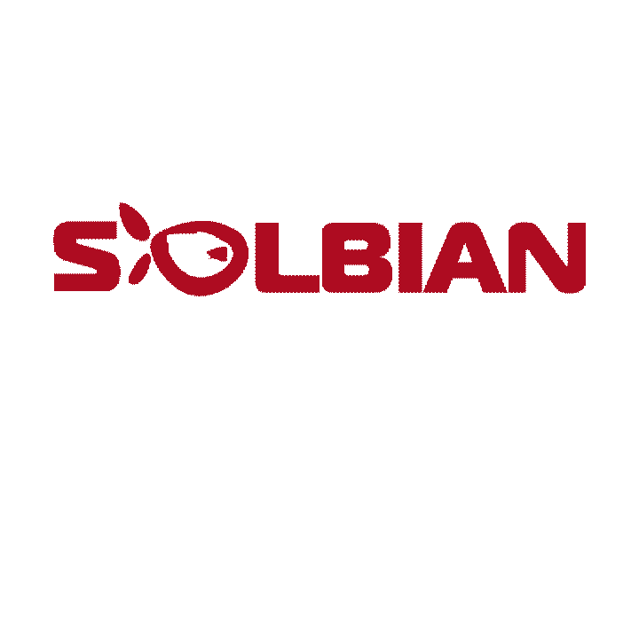 SOLBIAN Solar Sticker