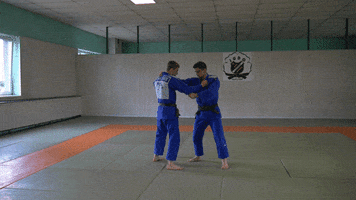 pawegrzegorzzagrodnik harai goshi GIF