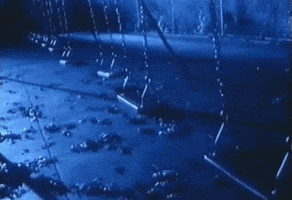200.gif