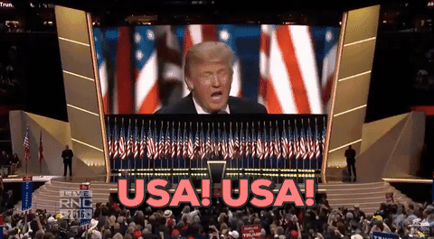 Donald Trump Usa GIF by Election 2016 - Find & Share on GIPHY