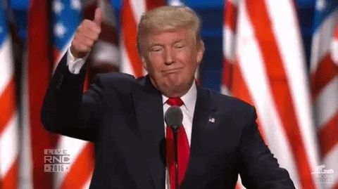 Donald Trump Thumbs Up GIF
