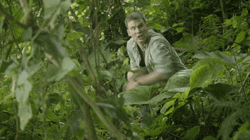 poop woods GIF by Wrecked