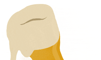 stampydoo-app beer bar afterwork blacklab GIF