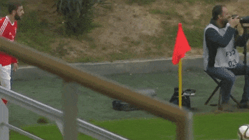 milhafreorlando donner kebab GIF