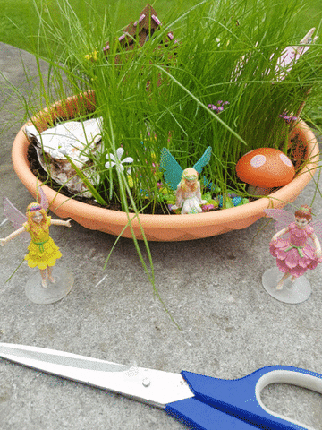 myfairygarden mfg fairy garden myfairygarden fairygarden GIF