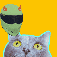 morgan freeman cat GIF by Percolate Galactic