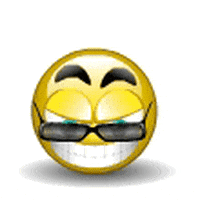 newsouest newsouest GIF