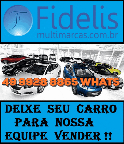 fidelis 49 9928 8865 whatsapp GIF