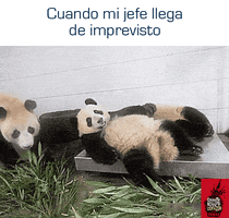 calavera57 #jefe #trabajo #oficina #godin GIF