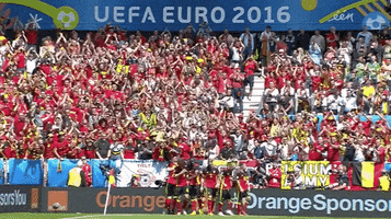 euro 2016 ireland GIF by Sporza
