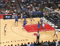 Chicago Bulls GIF Find & Share on GIPHY