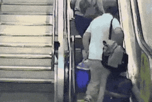 ick  GIF