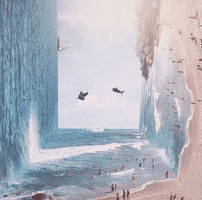 fu #shark GIF