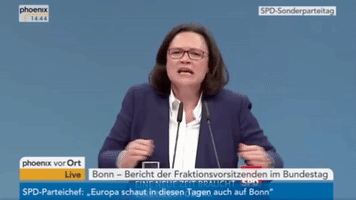 Andrea Nahles Fight GIF