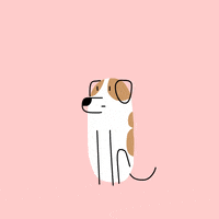 hihi csakpets GIF by CsaK