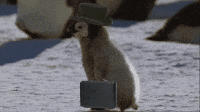 late GIF