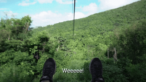 Nature Yay Gifs Get The Best Gif On Giphy