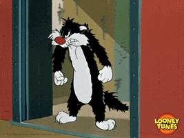 Cat No GIF by Looney Tunes