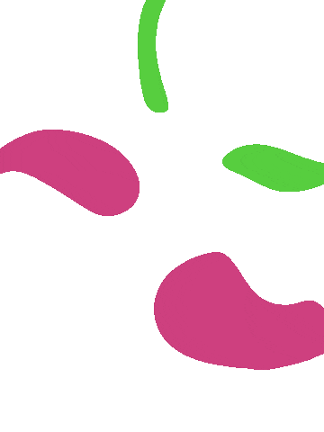 Strawberry Sticker