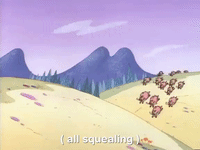 Squeal Like A Pig GIFs