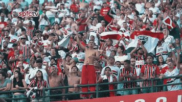 tricolor GIF by São Paulo FC