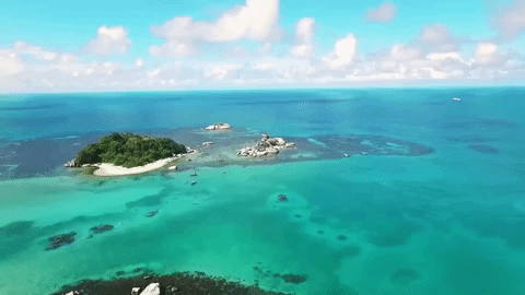 Https Encrypted Tbn0 Gstatic Com Images Q Tbn 3aand9gcsw J Uhmif182nos9z8bbnscynxmfgftp6nkqb4xh B0aw 86t