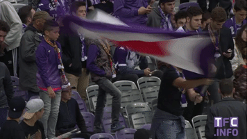 toulousefc sports soccer flag fans GIF