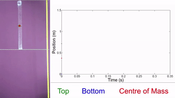 martinarcher slinky drop GIF