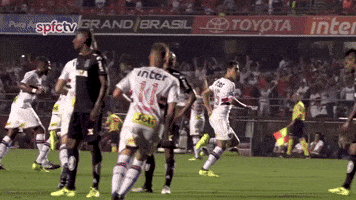 Tricolor GIF by São Paulo FC