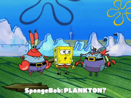 Season 5 Bet GIF by SpongeBob SquarePants