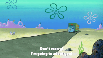 200.gif?cid=fc005b0846b79bdb3617730c020e3b08a13808a84a5d7ce4&rid=200.gif&ct=g