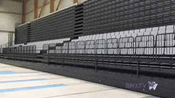 Pikatchoune  GIF