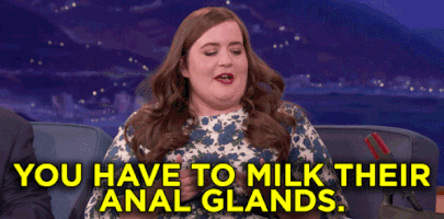aidy bryant anal glands GIF by Team Coco