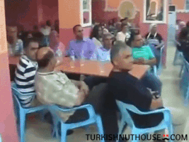 TurkishNuthouse funny fun fall turkey GIF