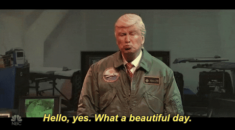 Donald Trump Hello GIF by Saturday Night Live - Find & Share on GIPHY