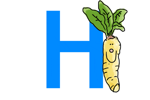 horseradish meaning, definitions, synonyms