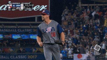 Excited Team Usa GIF by MLB
